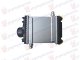 HLADNJAK INTERKULERA 3.0/3.5 BENZIN (207x200x67)